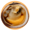 Mandorla di Mare